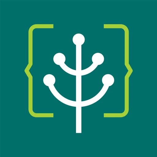 Green Software Foundation